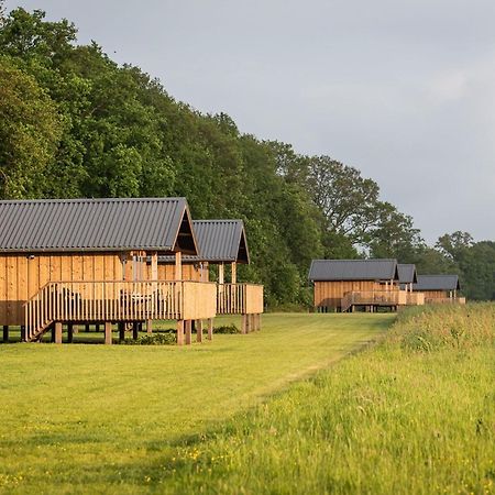 Composite Lodges With Shared Space In Drenthe Ruinerwold Esterno foto