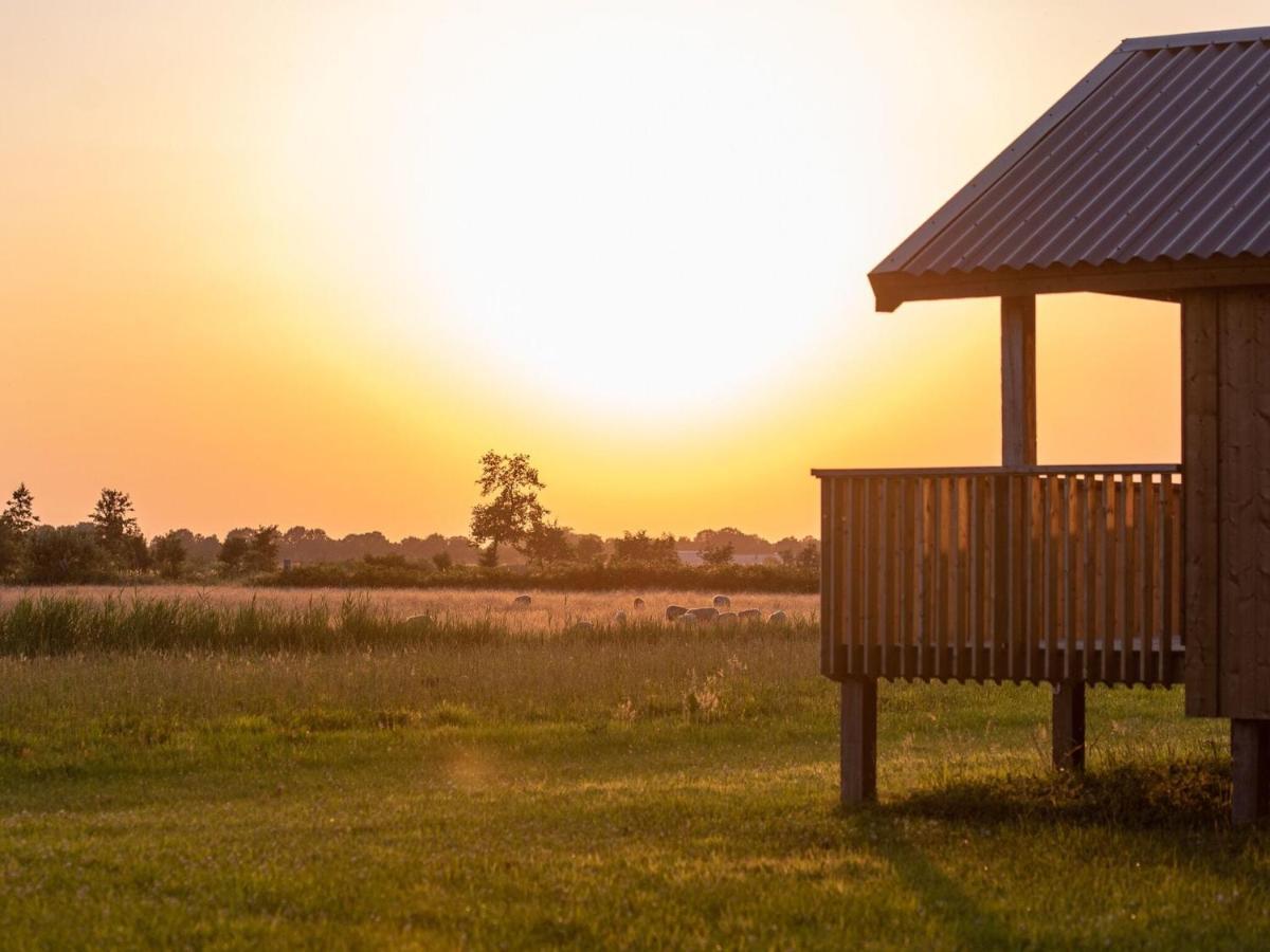 Composite Lodges With Shared Space In Drenthe Ruinerwold Esterno foto