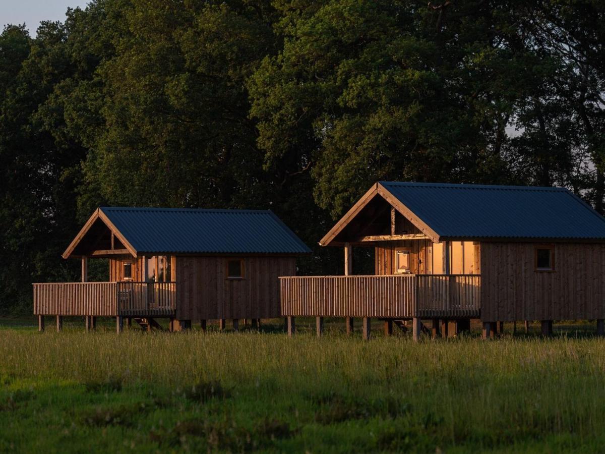 Composite Lodges With Shared Space In Drenthe Ruinerwold Esterno foto