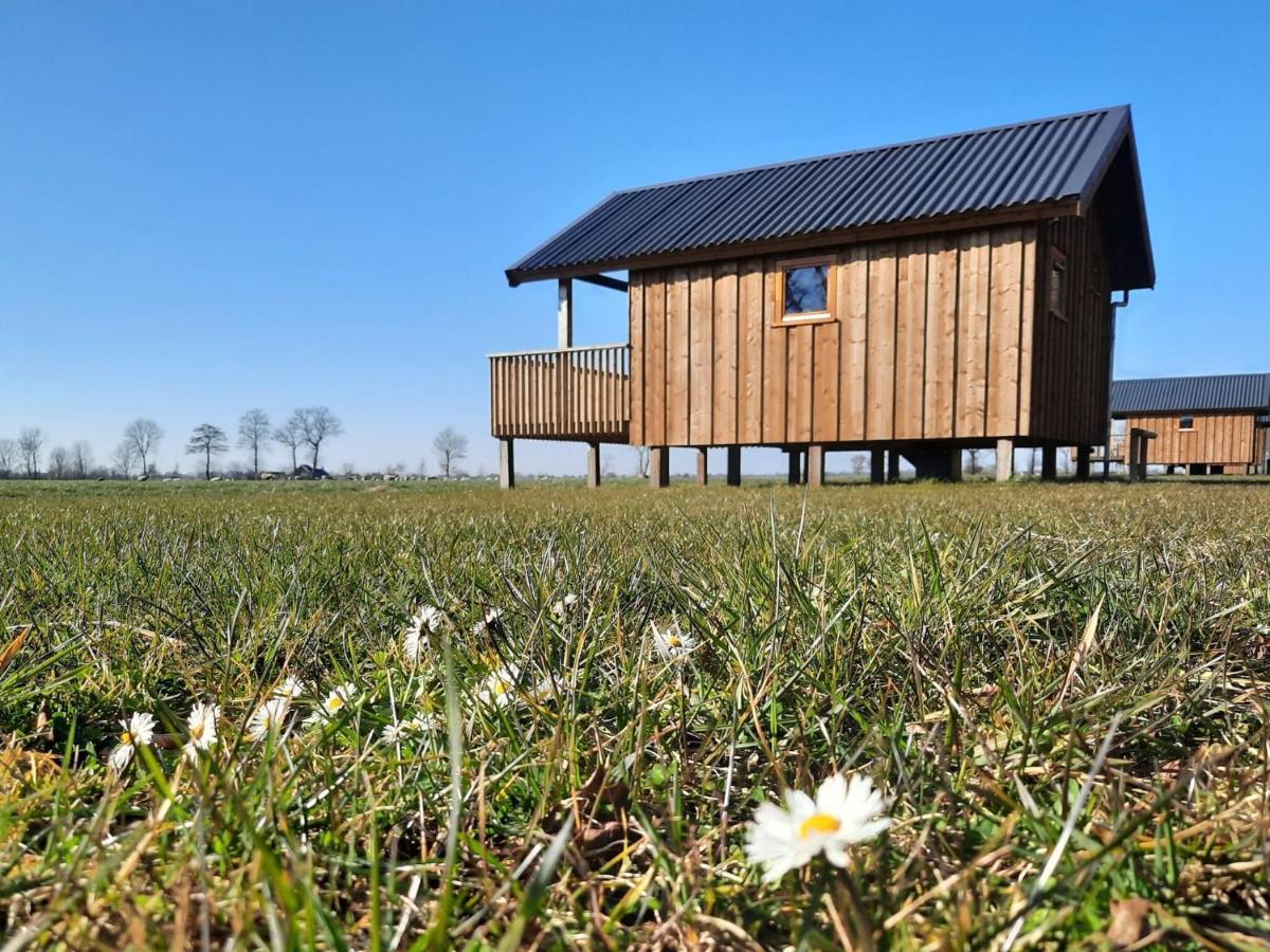 Composite Lodges With Shared Space In Drenthe Ruinerwold Esterno foto