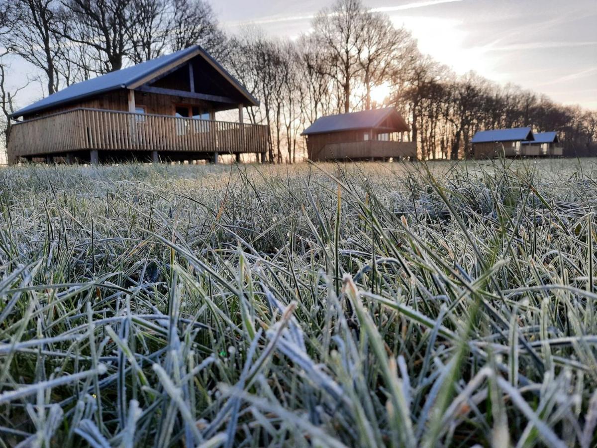 Composite Lodges With Shared Space In Drenthe Ruinerwold Esterno foto