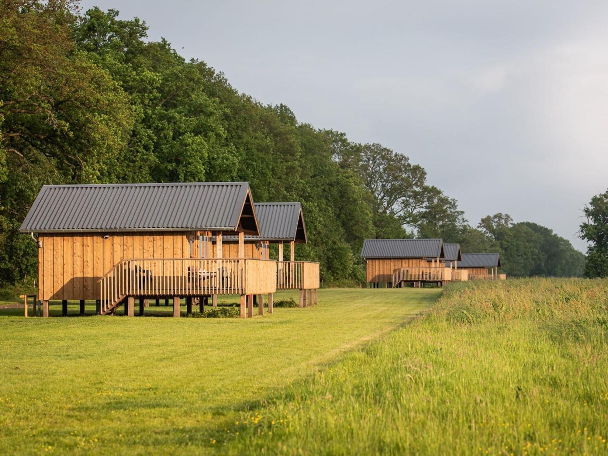 Composite Lodges With Shared Space In Drenthe Ruinerwold Esterno foto