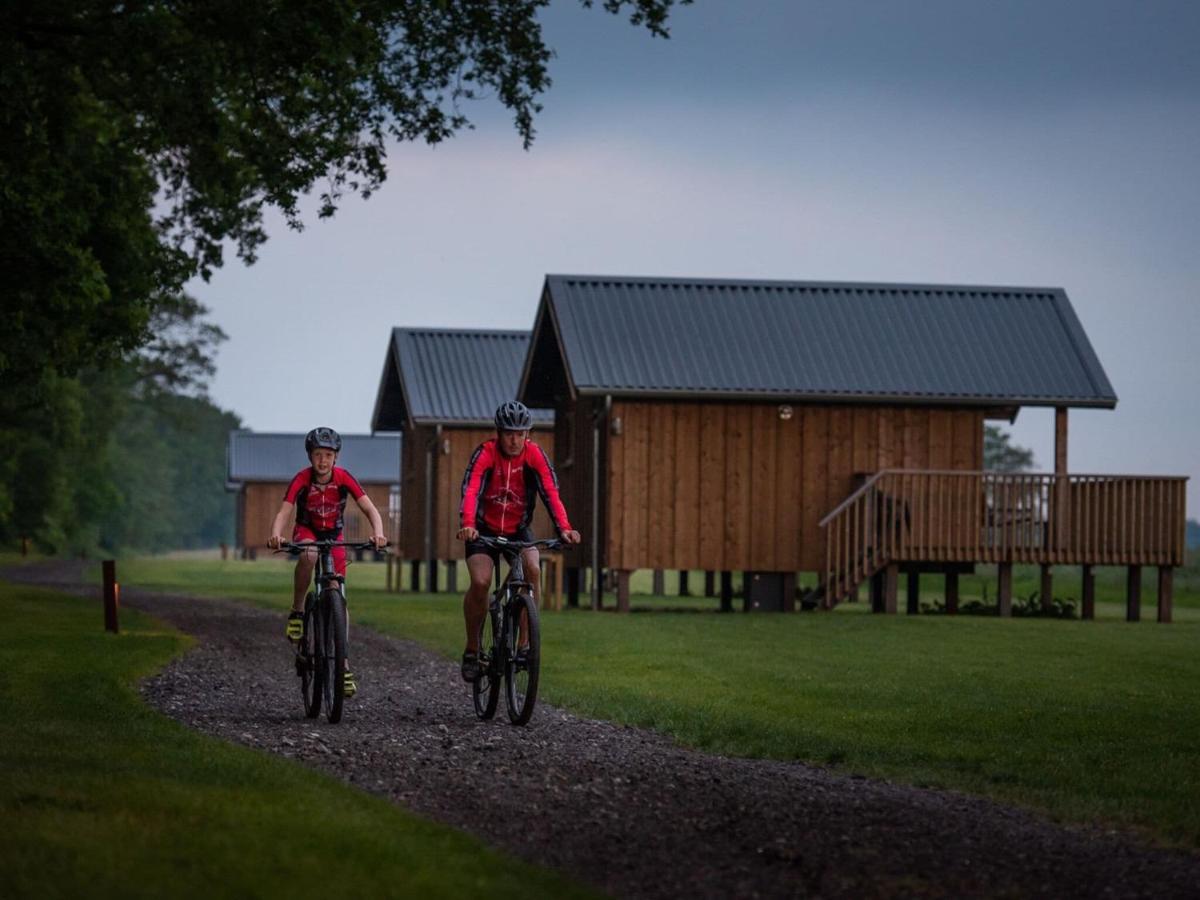 Composite Lodges With Shared Space In Drenthe Ruinerwold Esterno foto