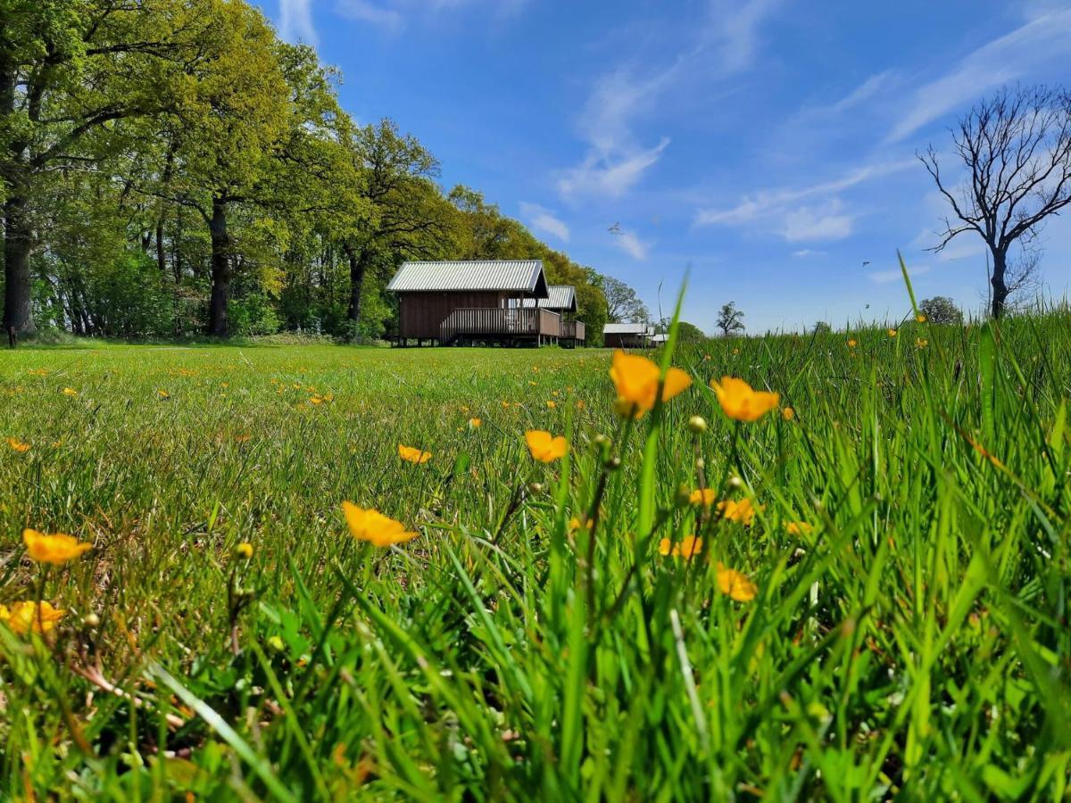 Composite Lodges With Shared Space In Drenthe Ruinerwold Esterno foto