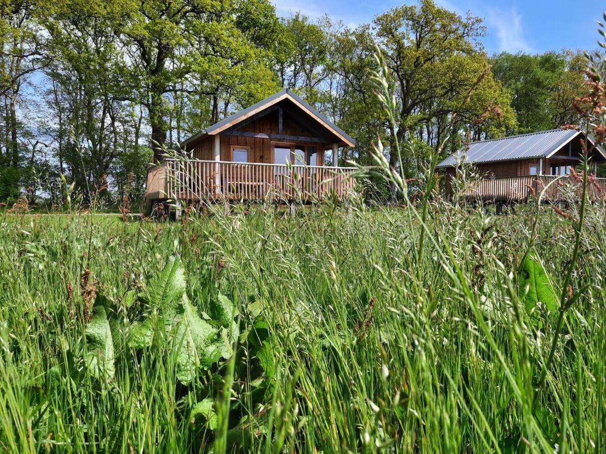 Composite Lodges With Shared Space In Drenthe Ruinerwold Esterno foto