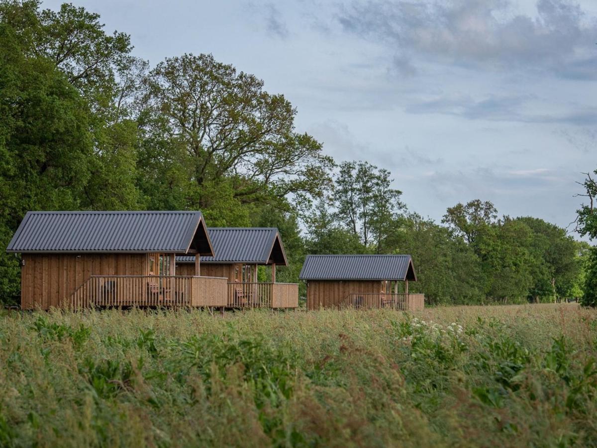 Composite Lodges With Shared Space In Drenthe Ruinerwold Esterno foto